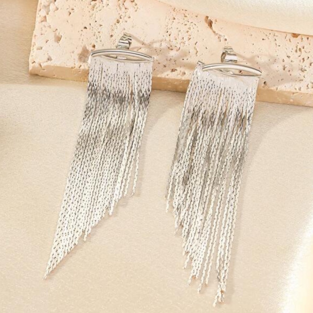 Minimalist Fringe Long Earrings - Picture 4 of 10